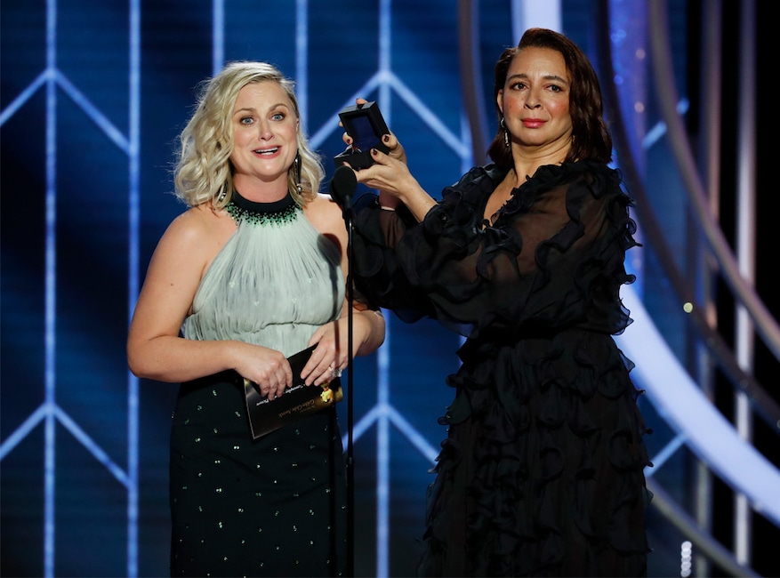 Amy Poehler, Maya Rudolph, 2019 Golden Globe Awards, Proposal